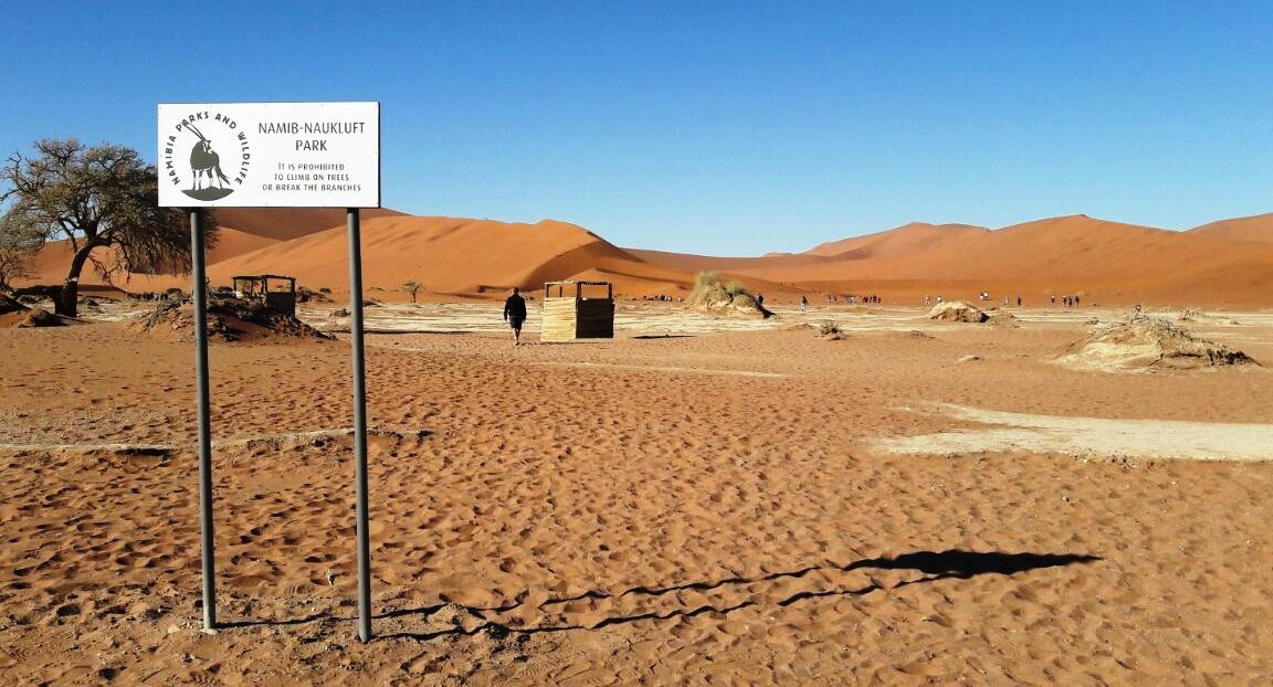 BOARDS FOR THE NAMIB NAUKLUFT NP